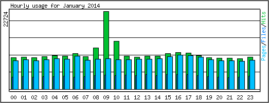 Hourly usage