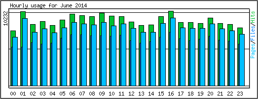 Hourly usage