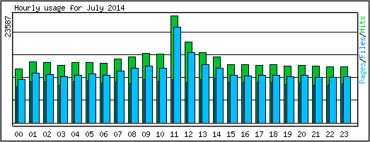 Hourly usage