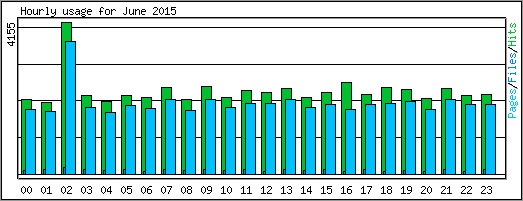 Hourly usage