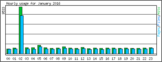 Hourly usage