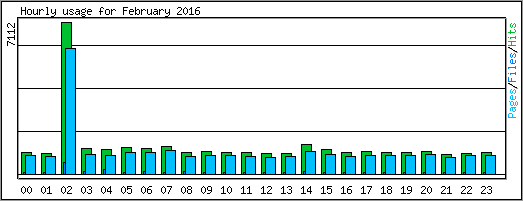 Hourly usage