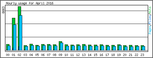 Hourly usage