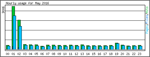 Hourly usage