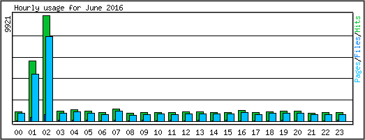 Hourly usage