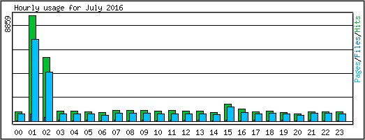 Hourly usage