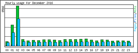 Hourly usage