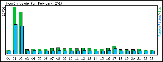 Hourly usage