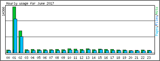 Hourly usage