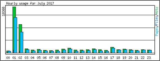 Hourly usage