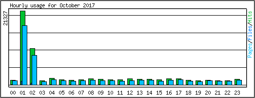 Hourly usage