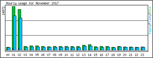 Hourly usage