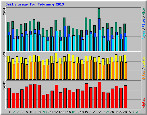 Daily usage for February 2013