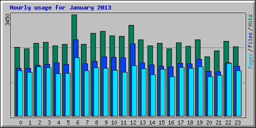 Hourly usage for January 2013