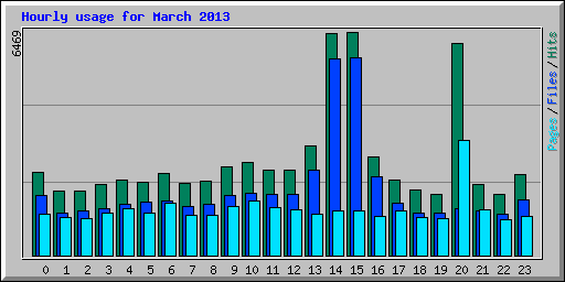 Hourly usage for March 2013