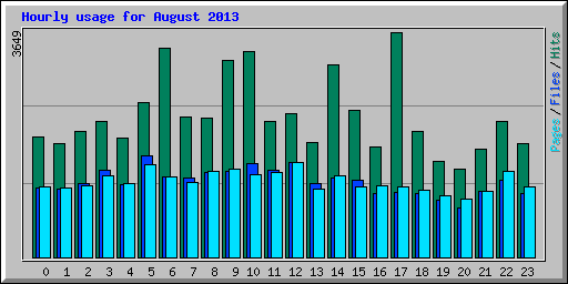 Hourly usage for August 2013