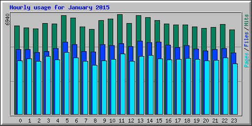 Hourly usage for January 2015