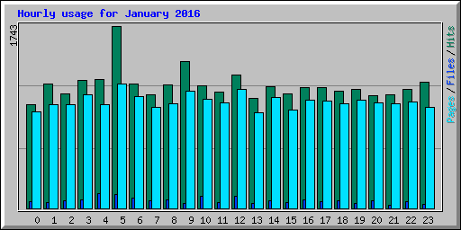 Hourly usage for January 2016