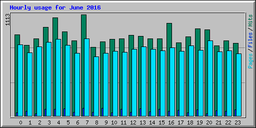 Hourly usage for June 2016