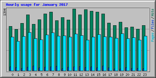 Hourly usage for January 2017