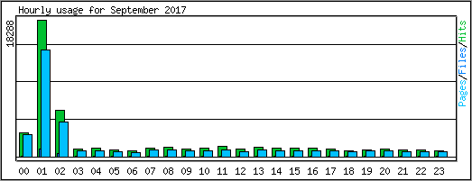 Hourly usage